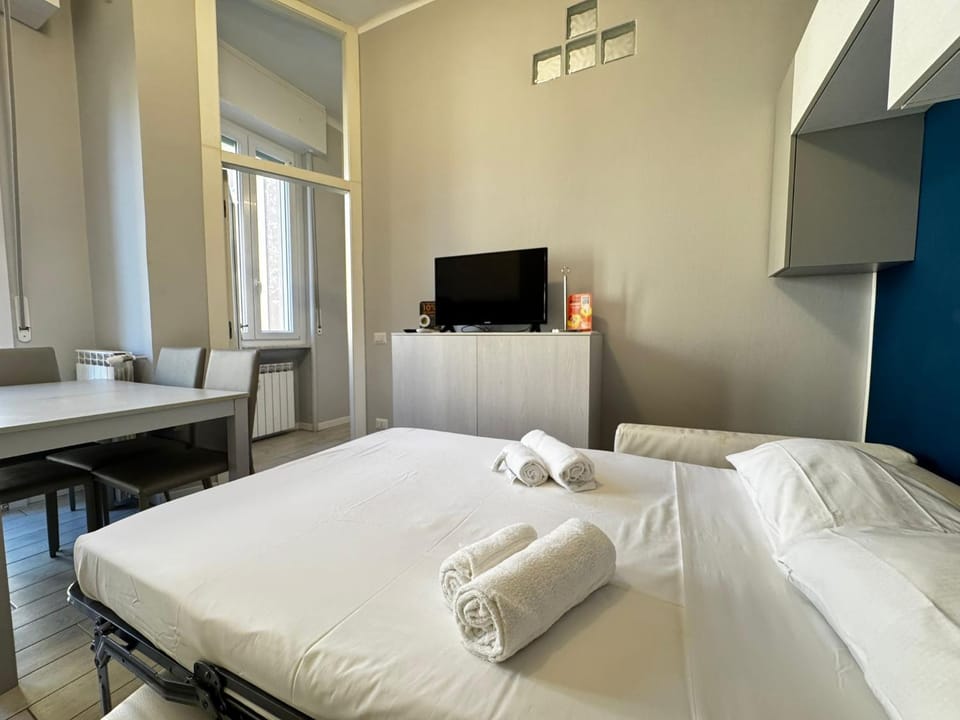 Bed, TV and multimedia, Photo of the whole room, air conditioner