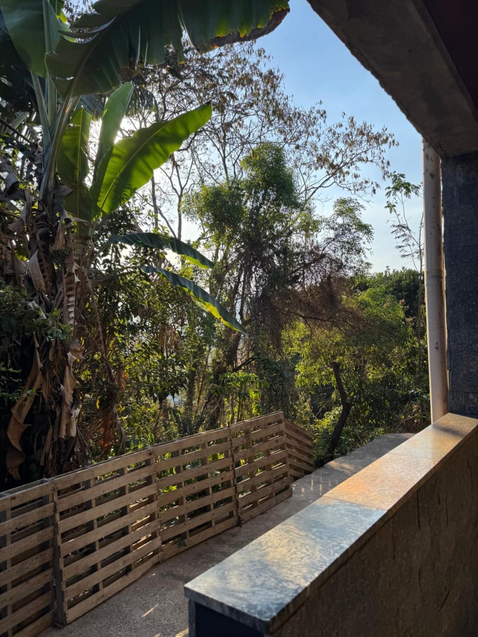 View (from property/room)