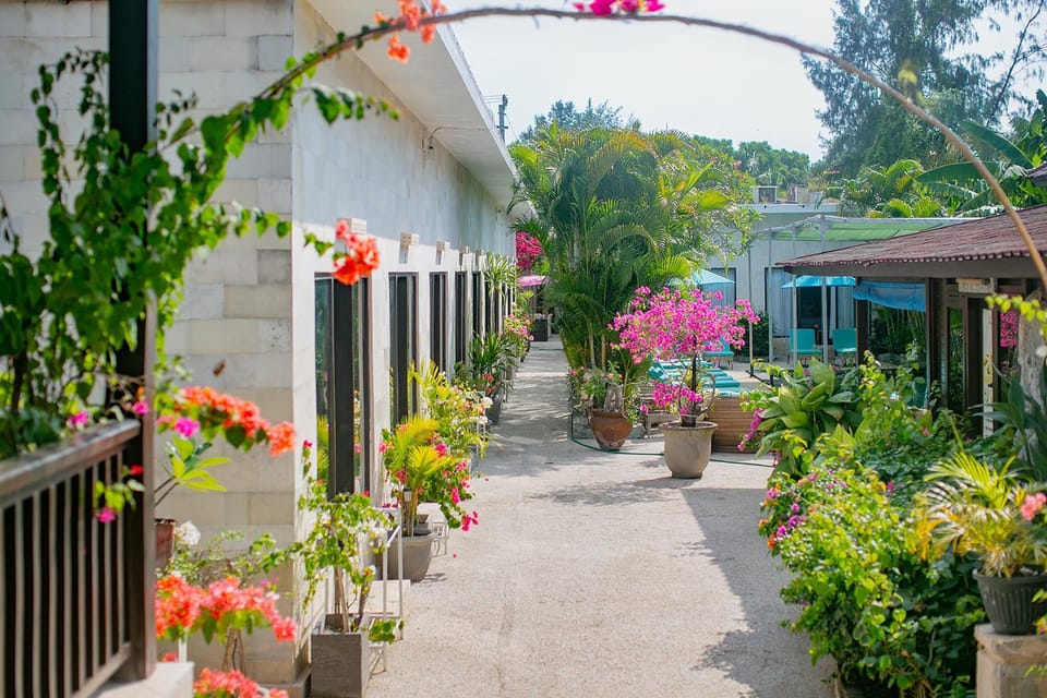 Patio, Facade/entrance, Garden, Garden view