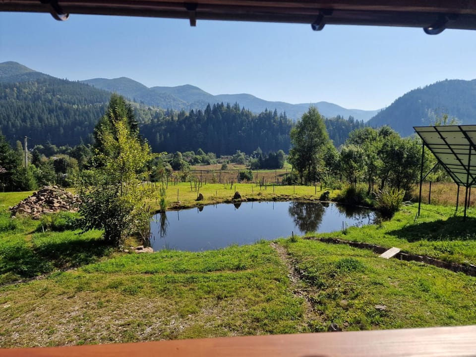 View (from property/room)