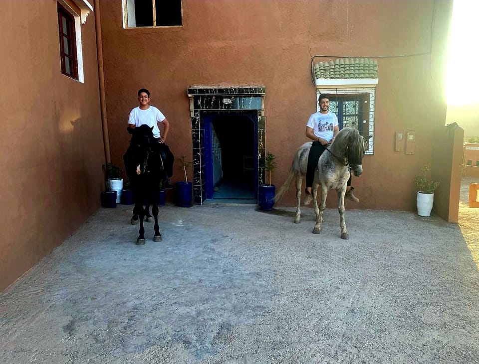 Day, People, Horse-riding, Horse-riding, Animals