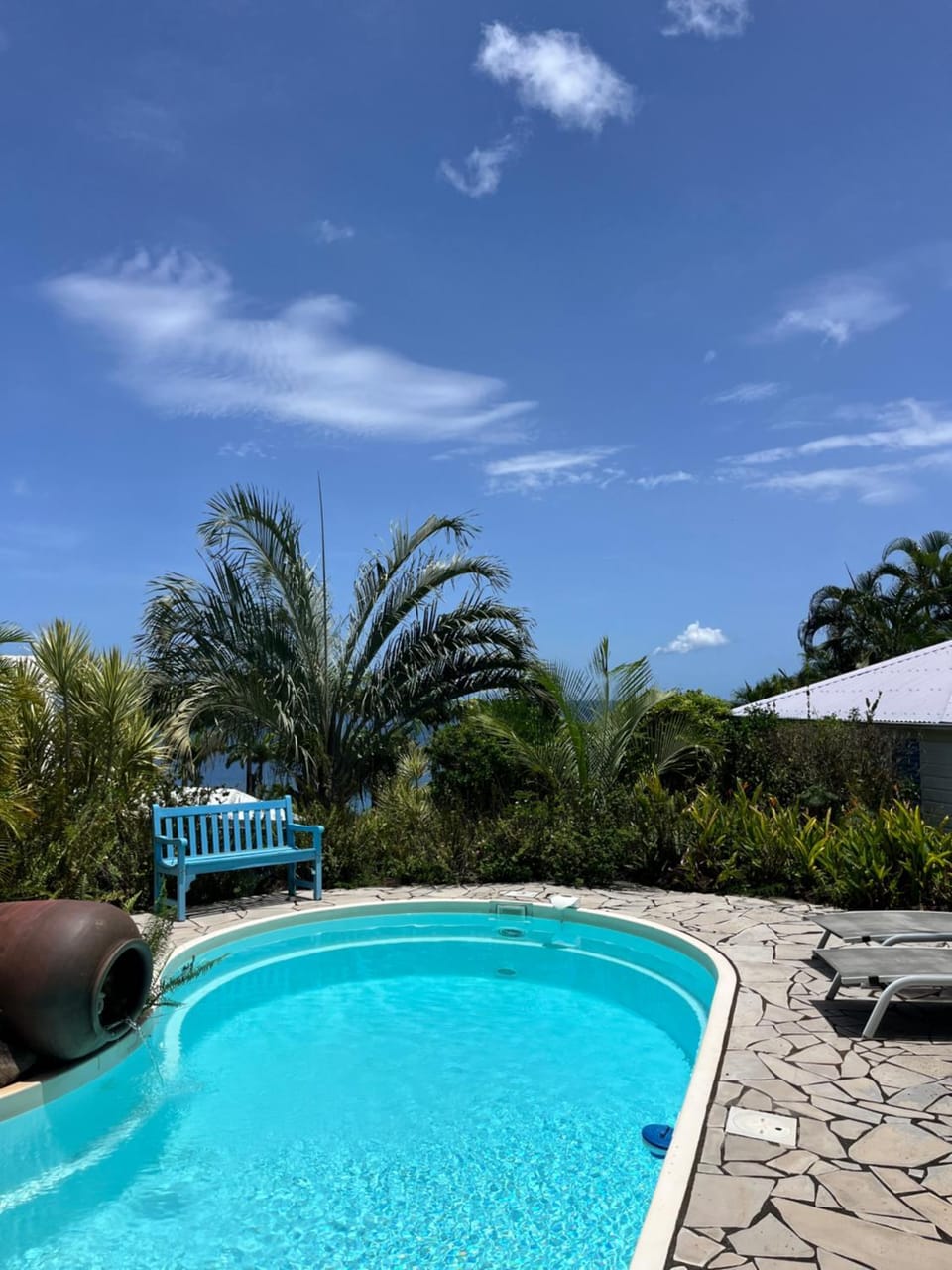 Natural landscape, Garden, Swimming pool, sunbed