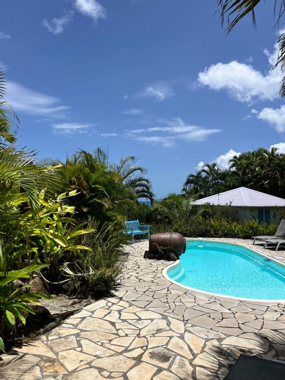 Swimming pool, sunbed