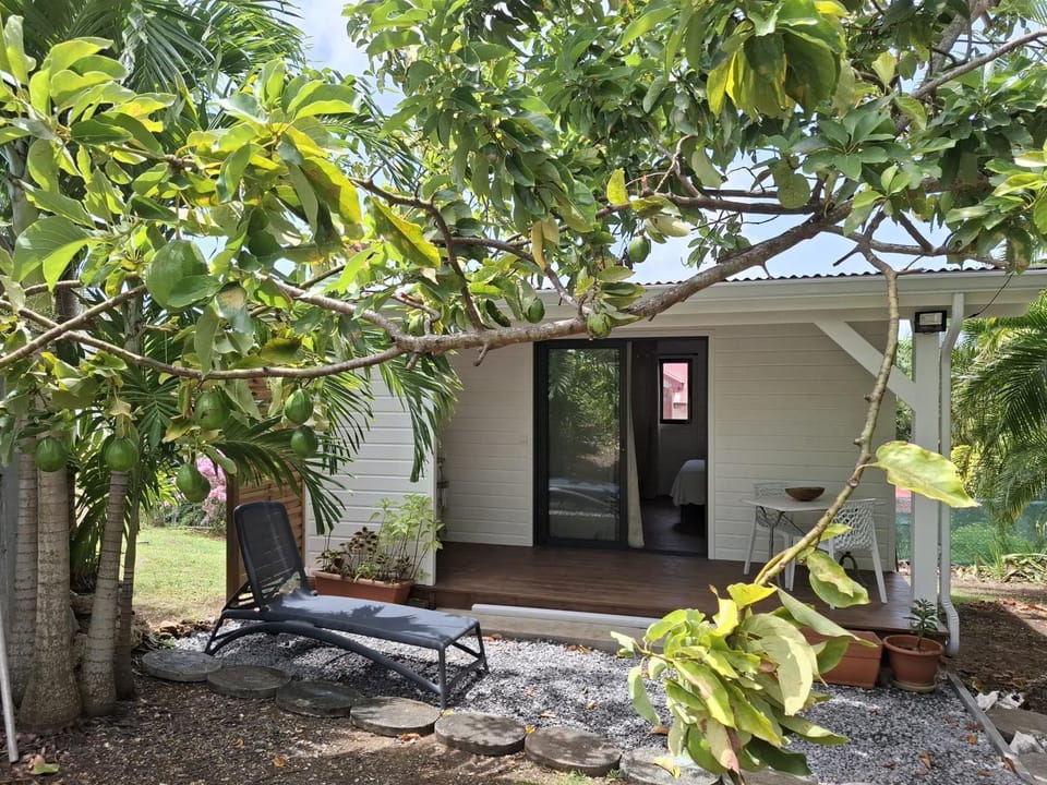 Patio, Garden, Garden view