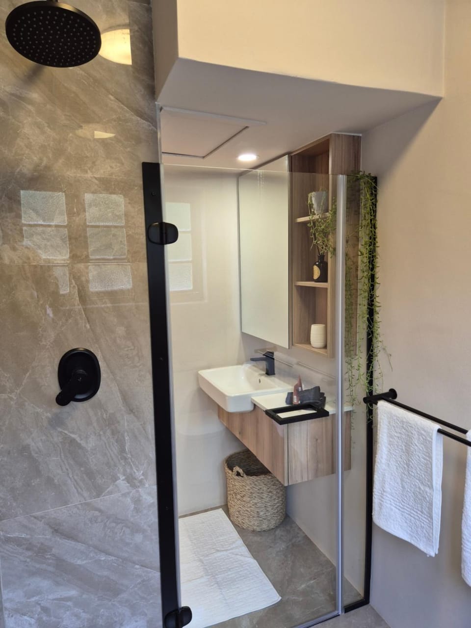 Shower, Bathroom