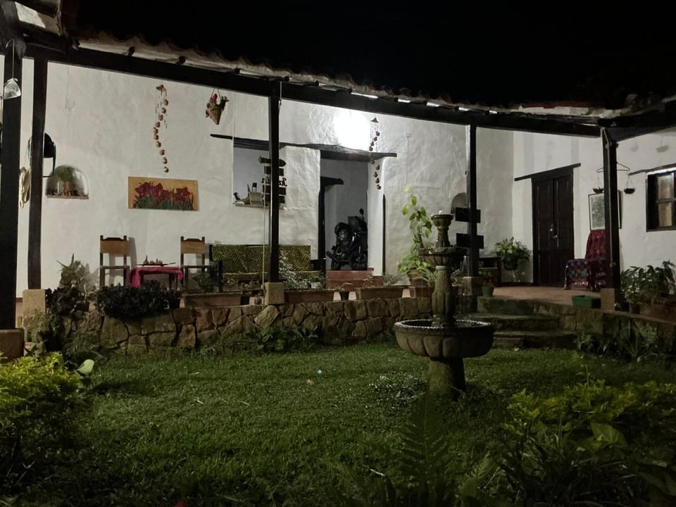 Garden, Inner courtyard view