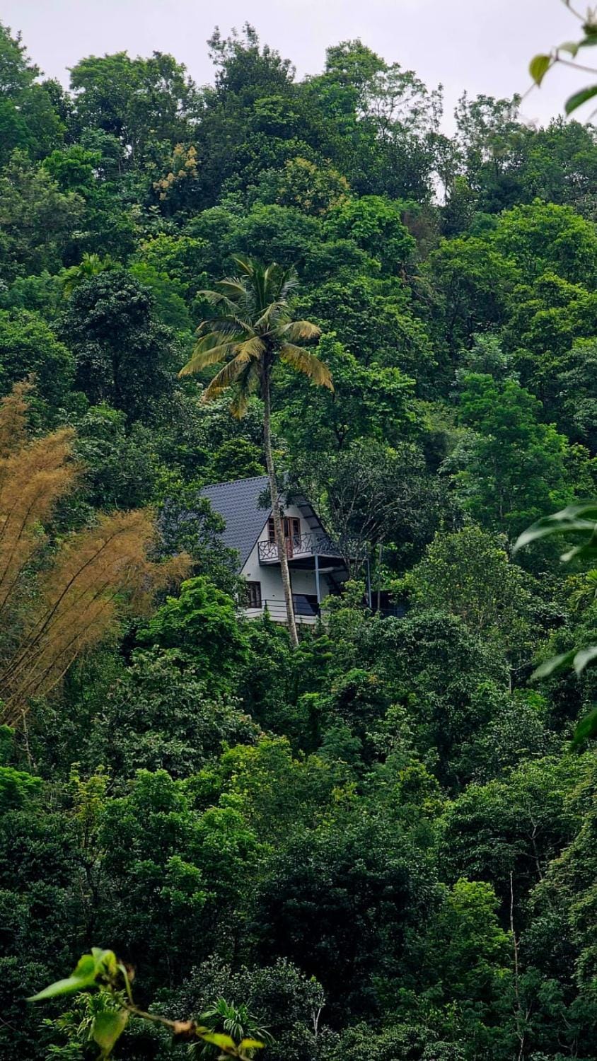 Pluto Homestay Villa in Kerala