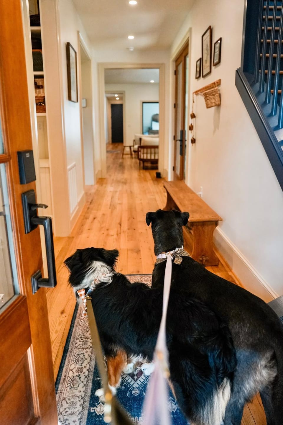 Facade/entrance, Pets
