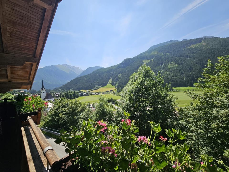 View (from property/room)