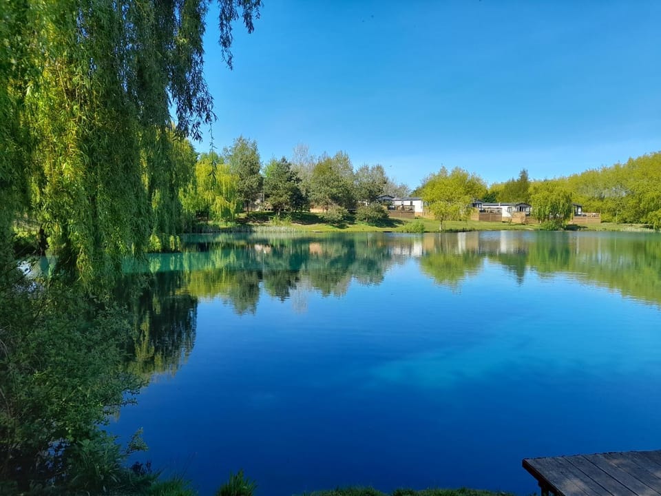 Lake view