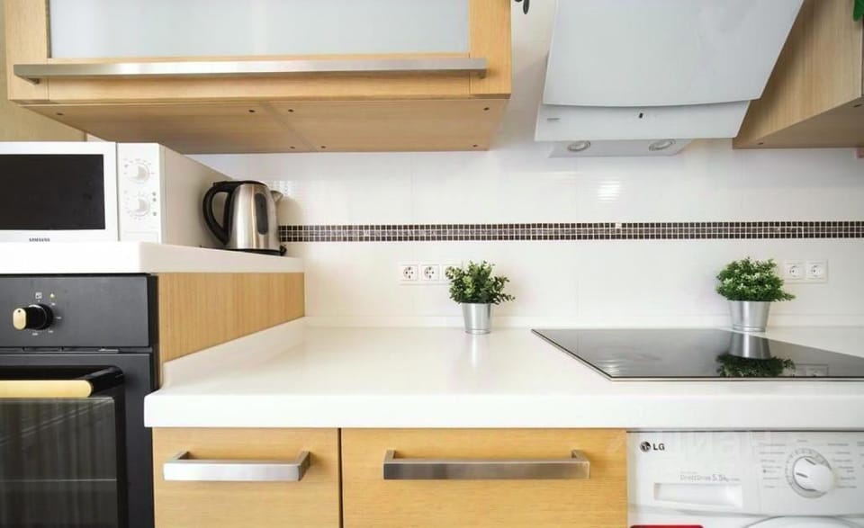 dishwasher, minibar, stove