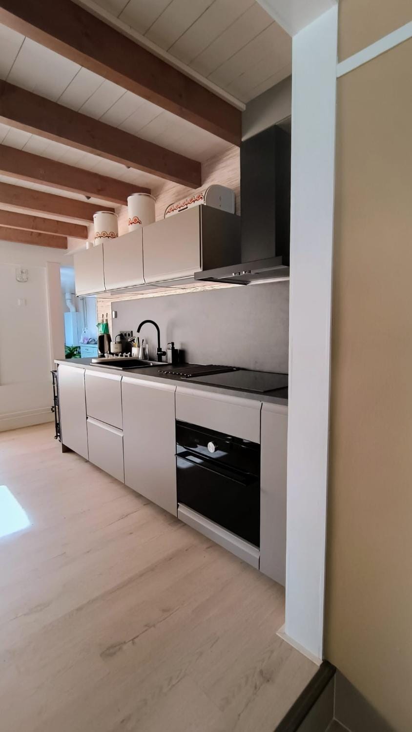 Kitchen or kitchenette, dishwasher, oven, pet friendly