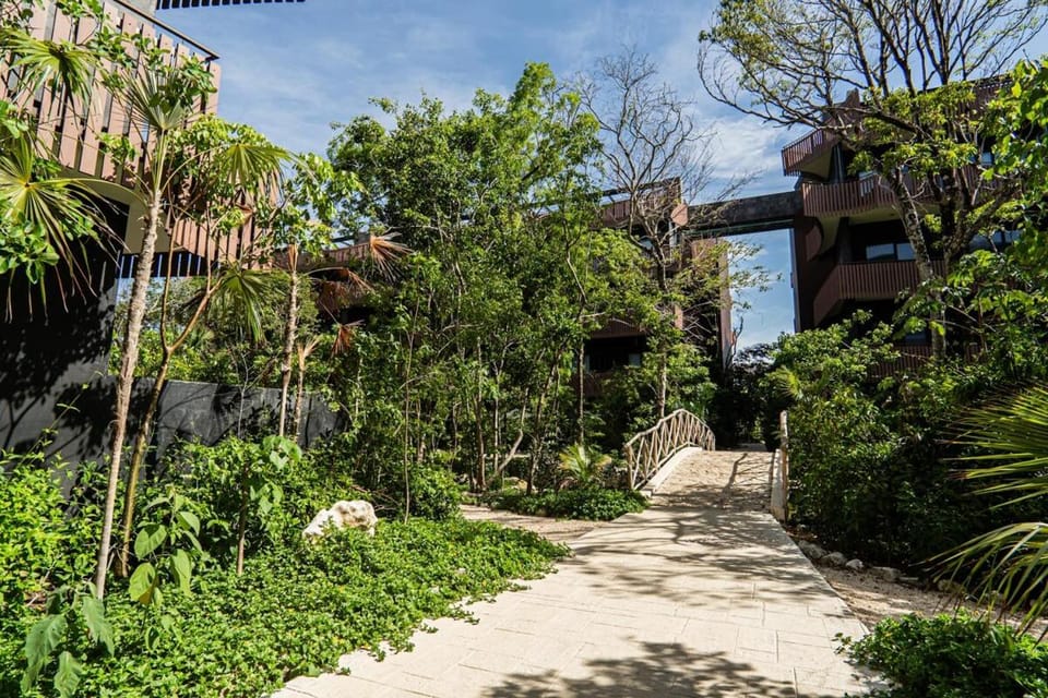 Natural landscape, Garden view