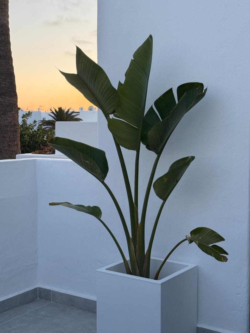 Los Molinos Serenity apartment Apartment in Costa Teguise