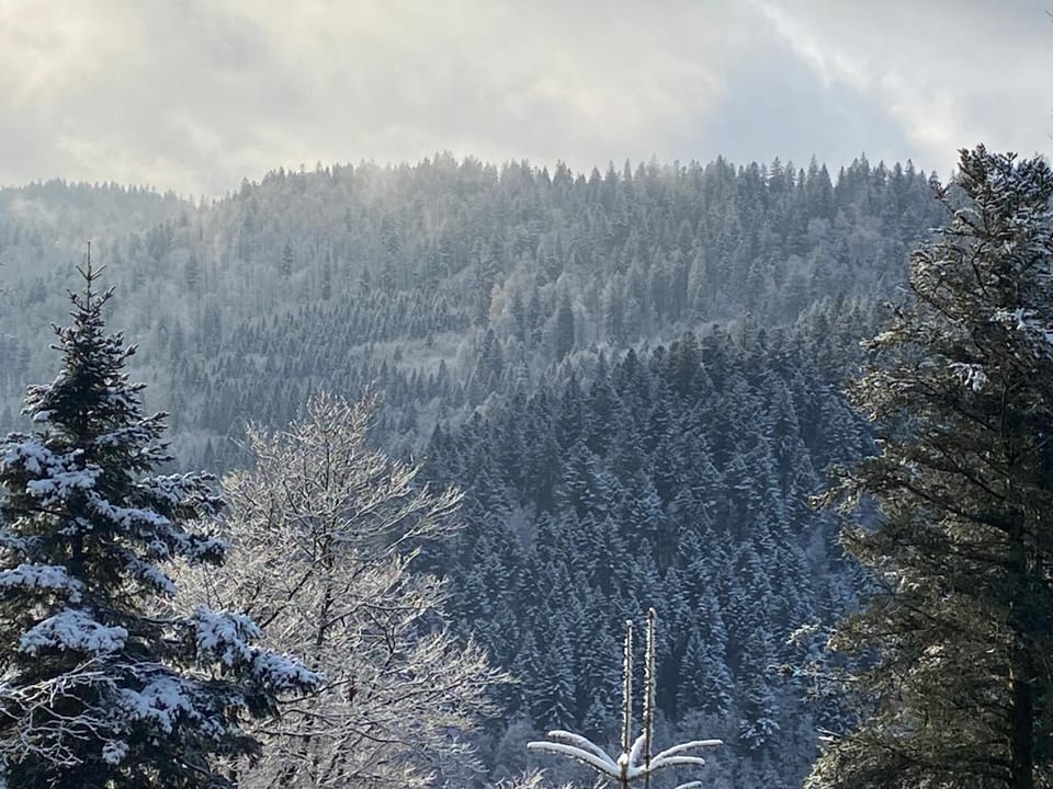 Natural landscape, Winter, Mountain view