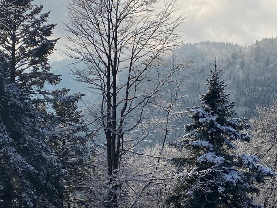 Natural landscape, Winter, Mountain view