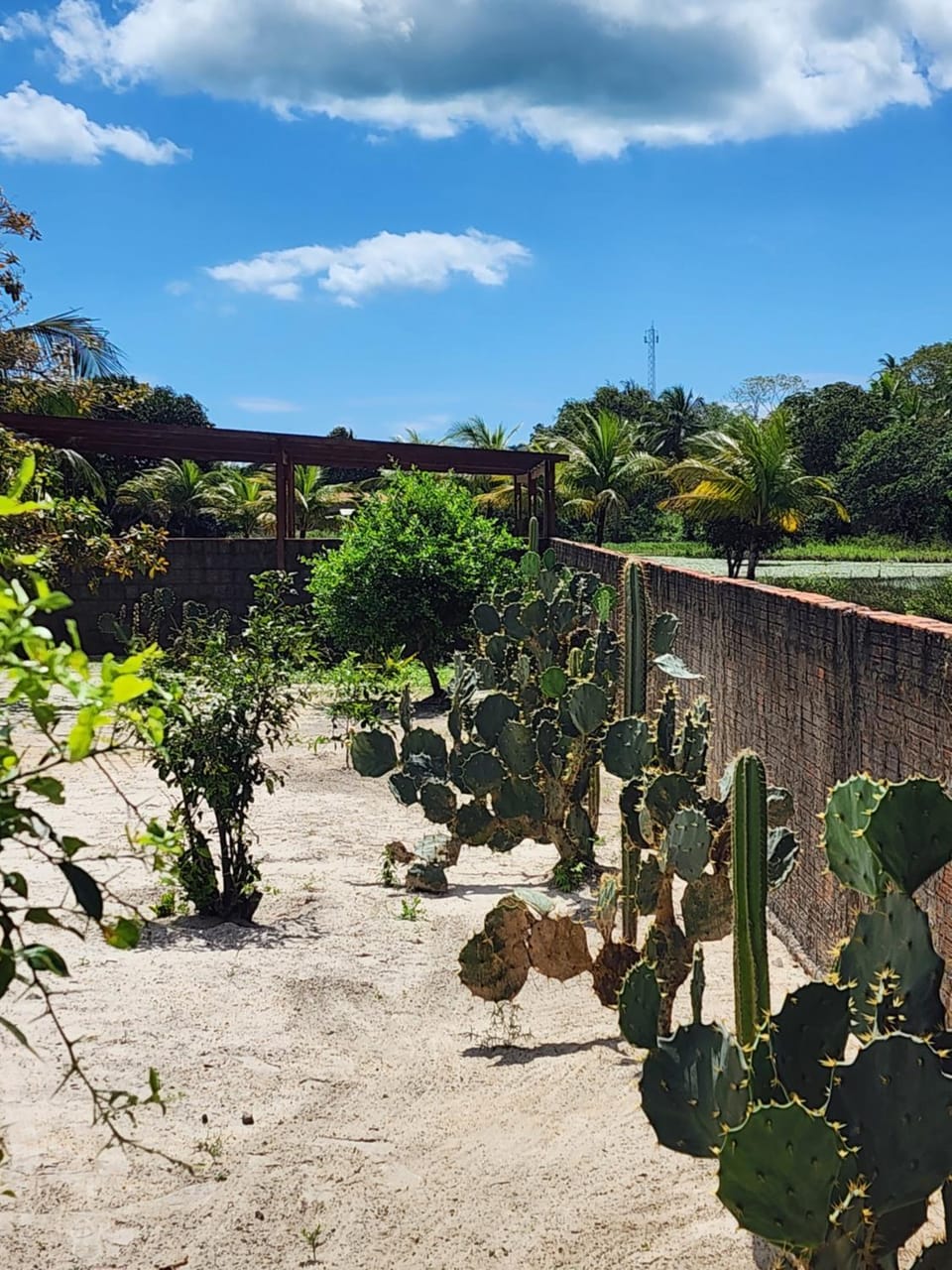 Garden, Garden view