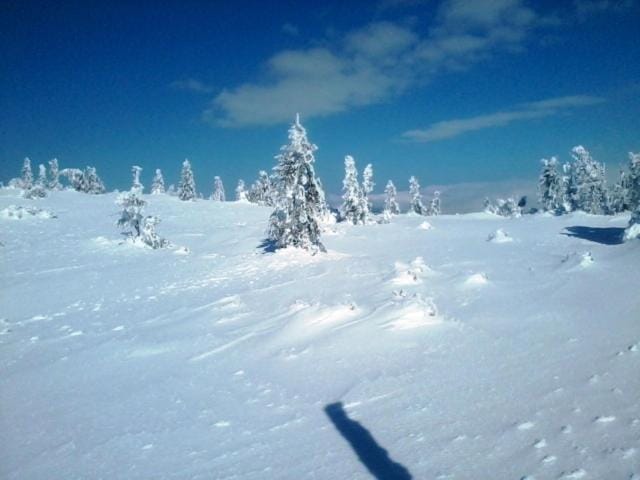 Skiing