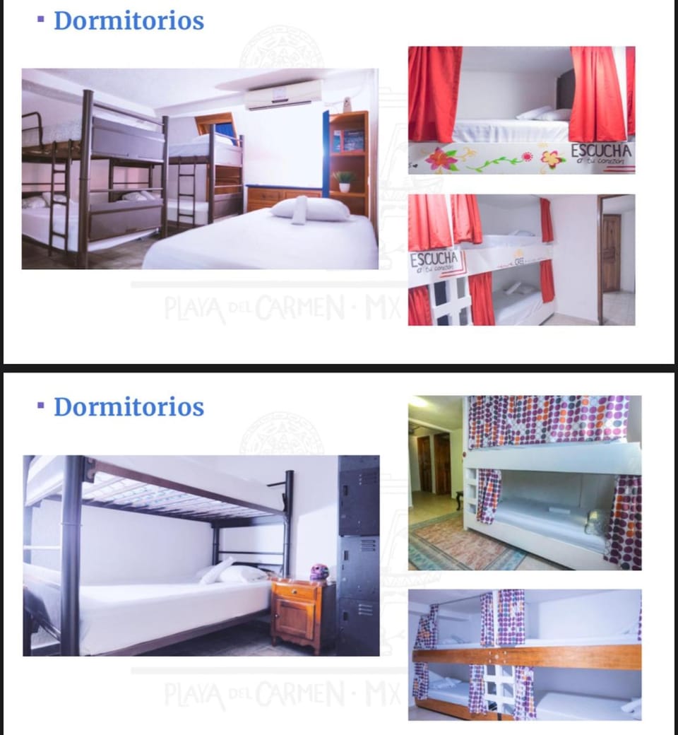 Hostel Izsla Playa Del Carmen Hostel in Playa del Carmen