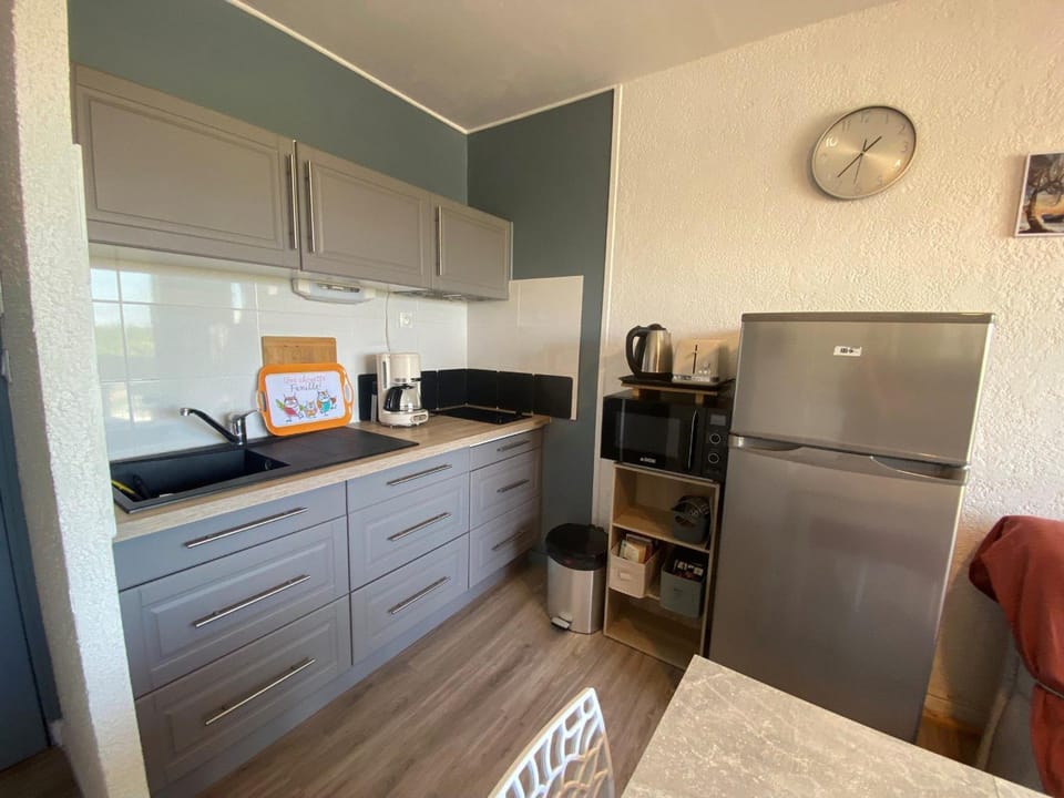 Location studio 20m², animaux admis à Balaruc-les-Bains - FR-1-503-188 Apartment in Balaruc-les-Bains