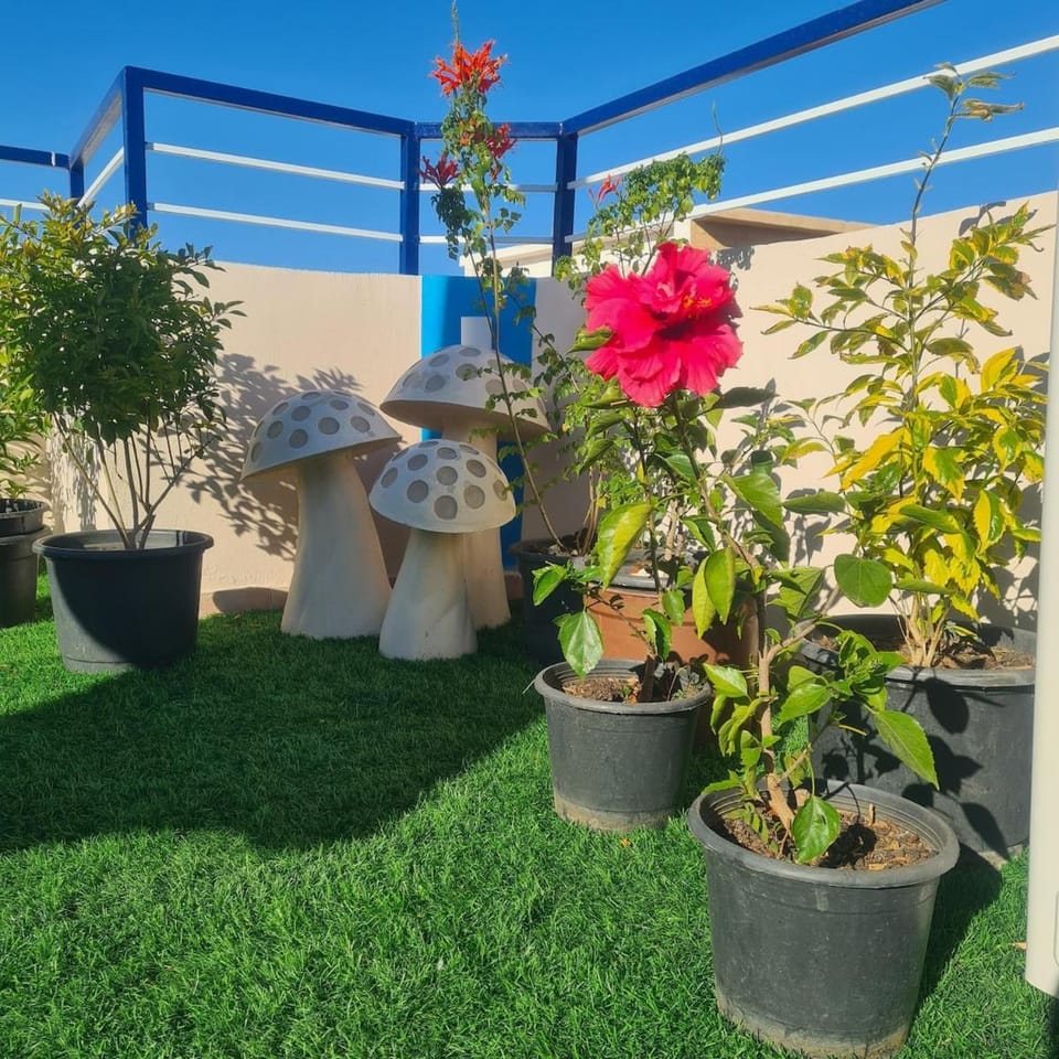 Sharm El Sheikh Sharm El Sheikh Apartment in South Sinai Governorate