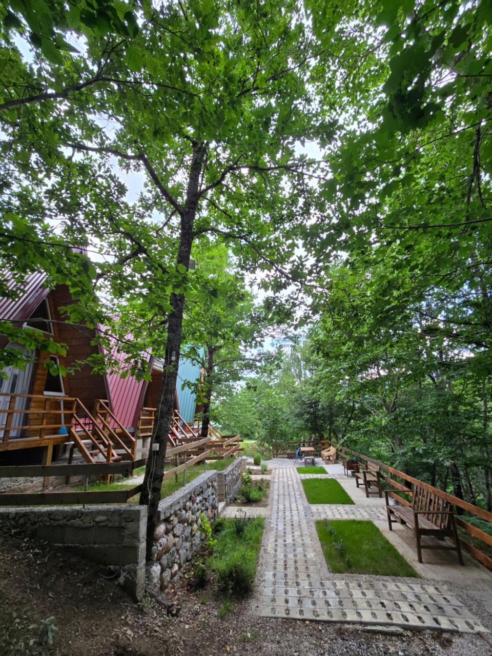 Tri breze Chalet in Montenegro