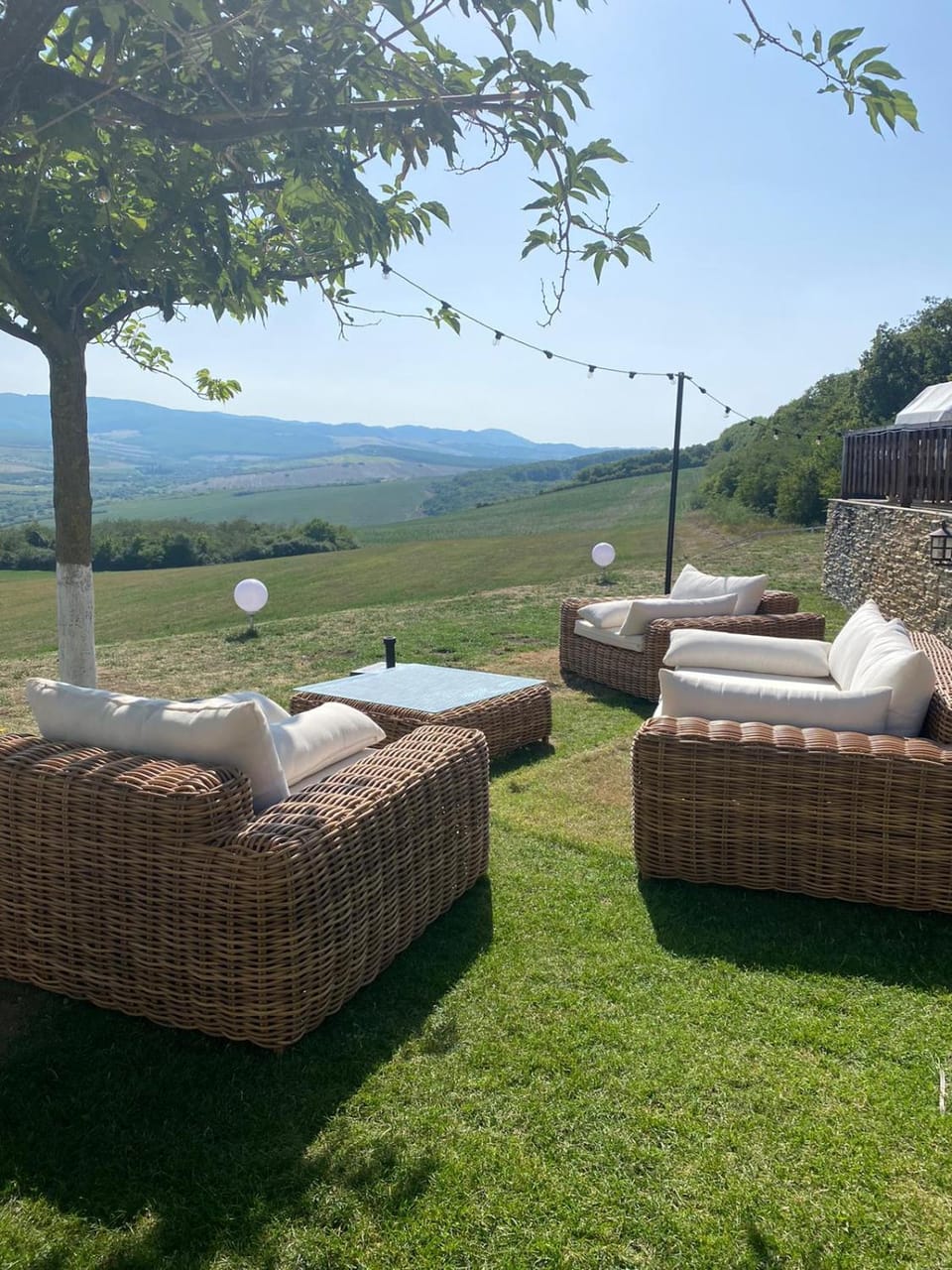 Garden, sunbed