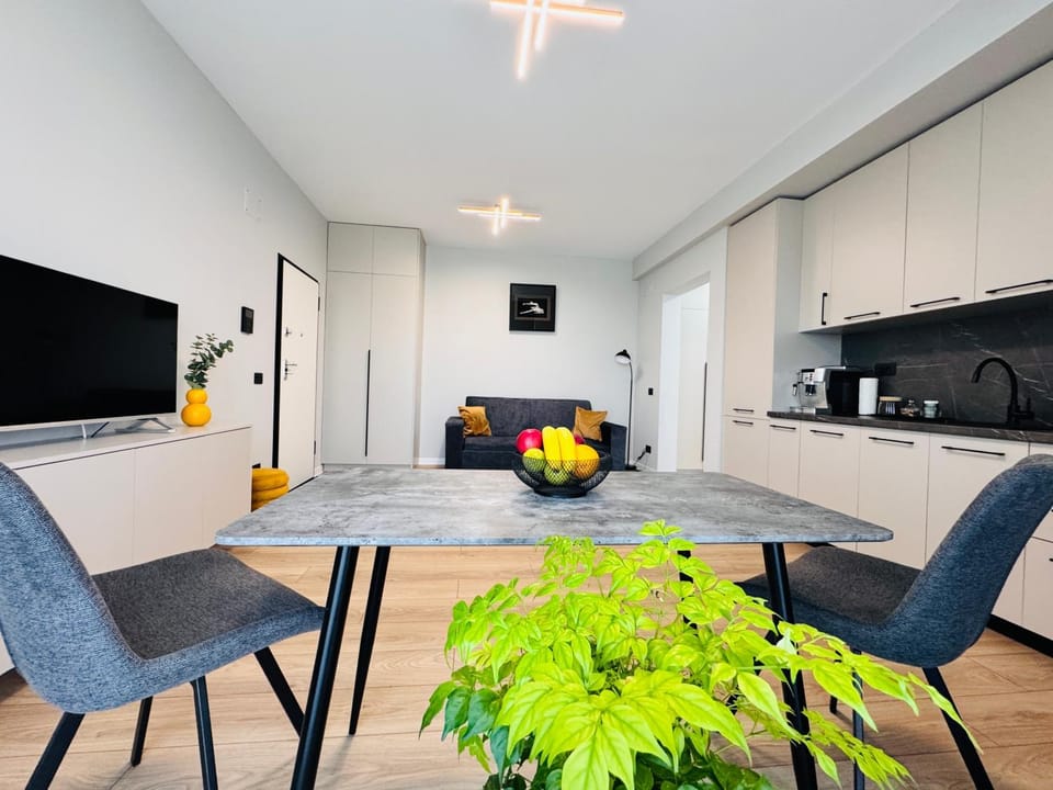 TV and multimedia, Kitchen or kitchenette, Living room, Seating area, Dining area, minibar, stove
