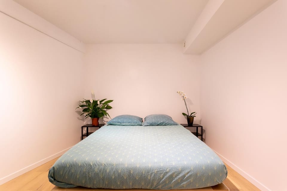 Le Zen Apartment in Paris
