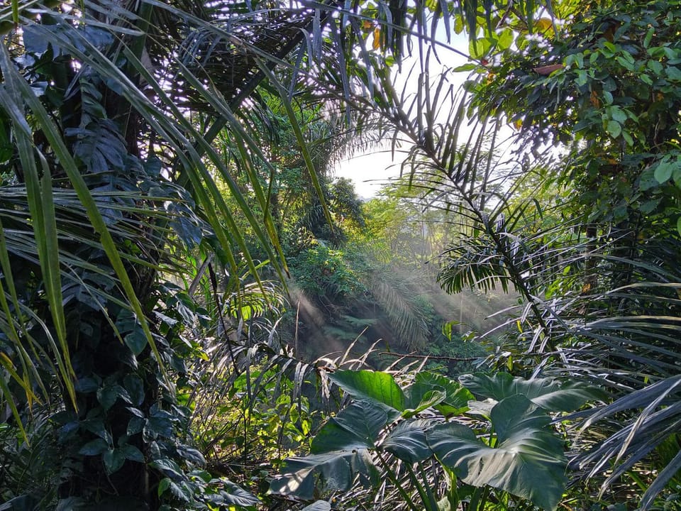 Natural landscape