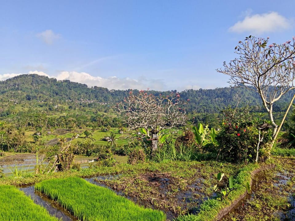 Nearby landmark, Natural landscape