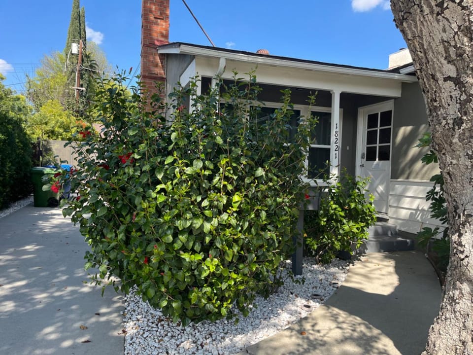 Northridge 3BR 2BA Home with Pool on a Tree-Lined street, Close to CSUN House in Northridge