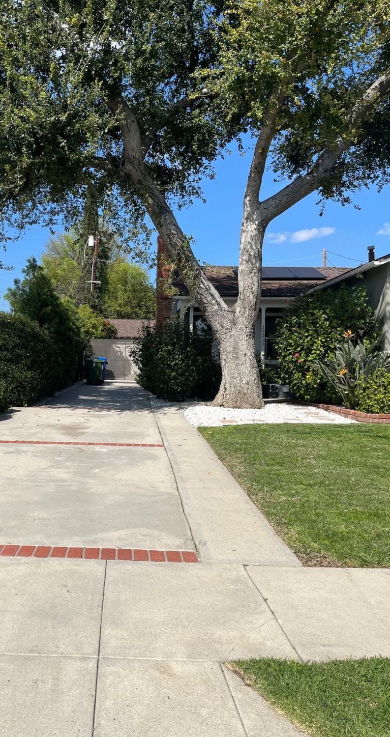 Northridge 3BR 2BA Home with Pool on a Tree-Lined street, Close to CSUN House in Northridge
