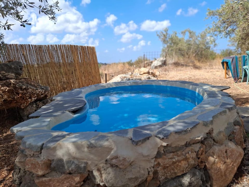 Day, Natural landscape, Pool view, Swimming pool