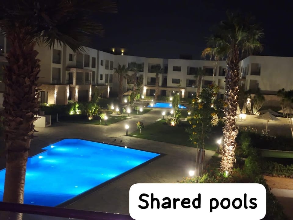 Night, Garden, Swimming pool