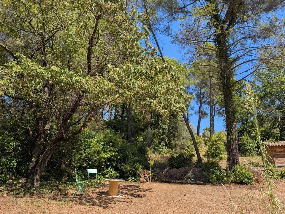 Natural landscape, Garden, Garden view