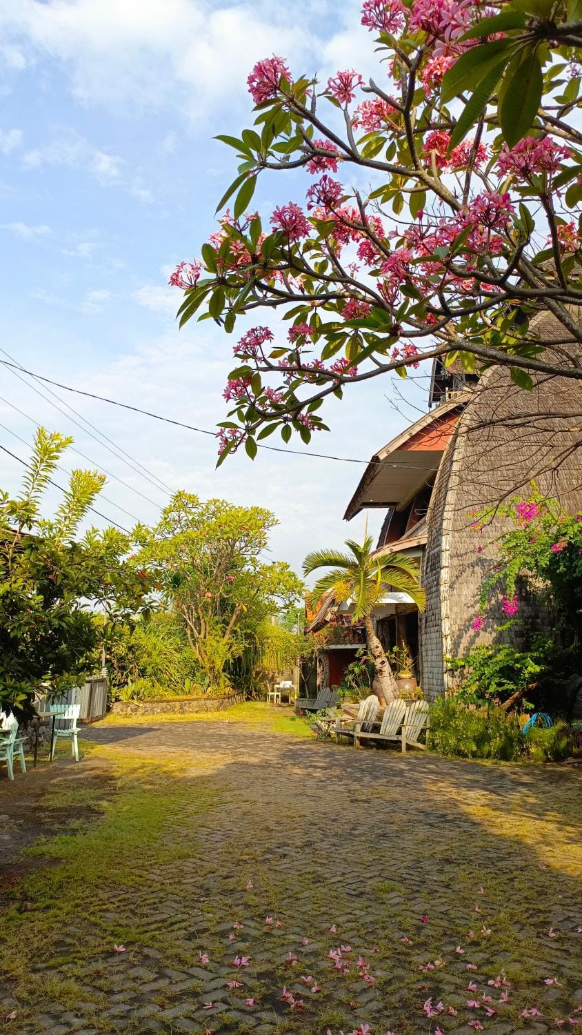 Chody House Bed and Breakfast in Indonesia