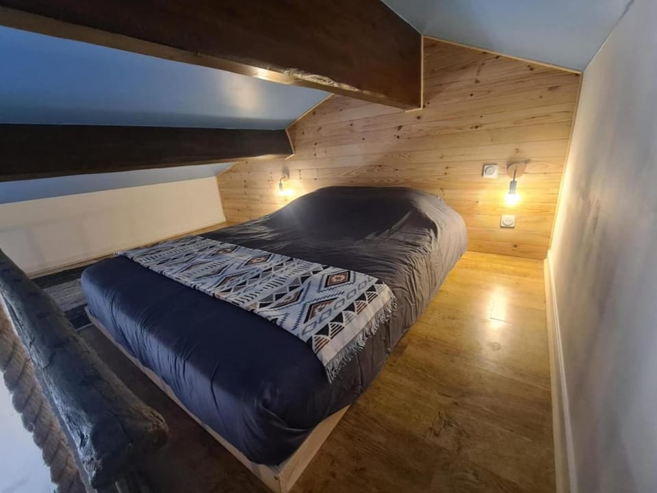 Studio mezzanine, spa & chiens de traîneau House in Nouvelle-Aquitaine
