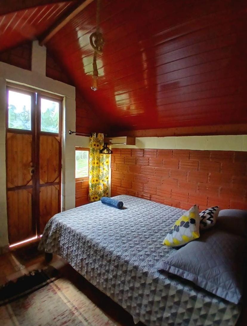 Bed, Photo of the whole room