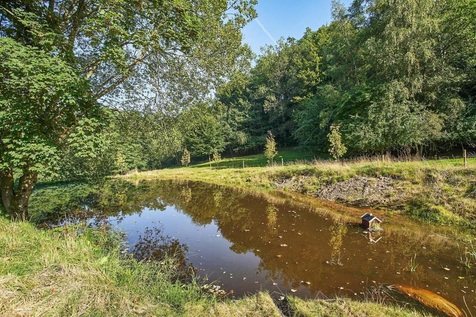 Natural landscape, Lake view