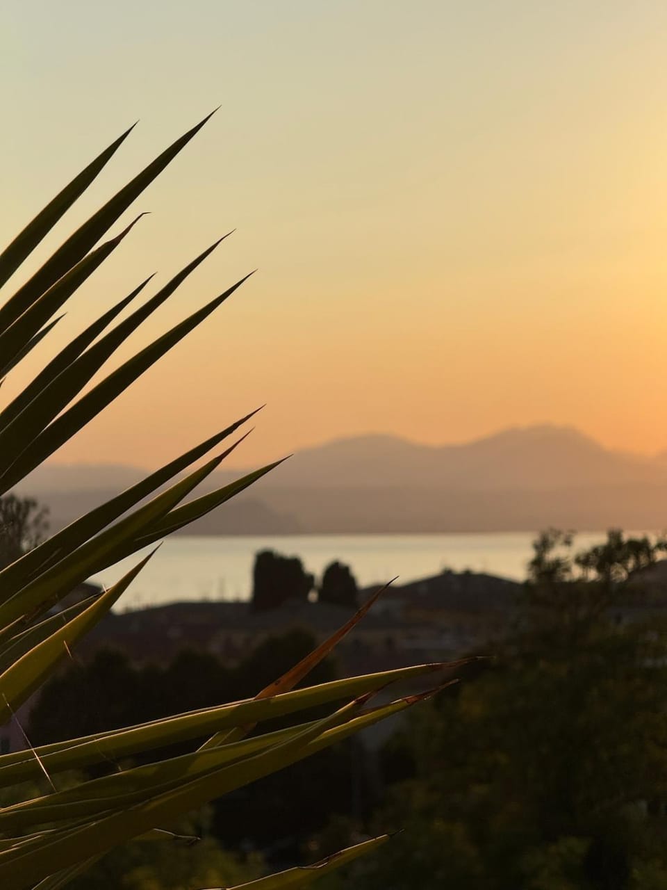 Bella vista - Garda Lake Apartment in Bardolino