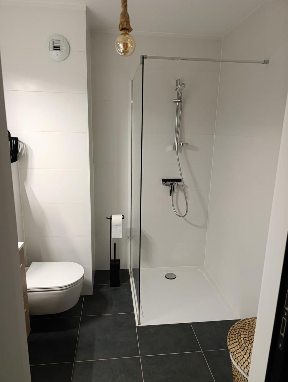 Shower, Toilet