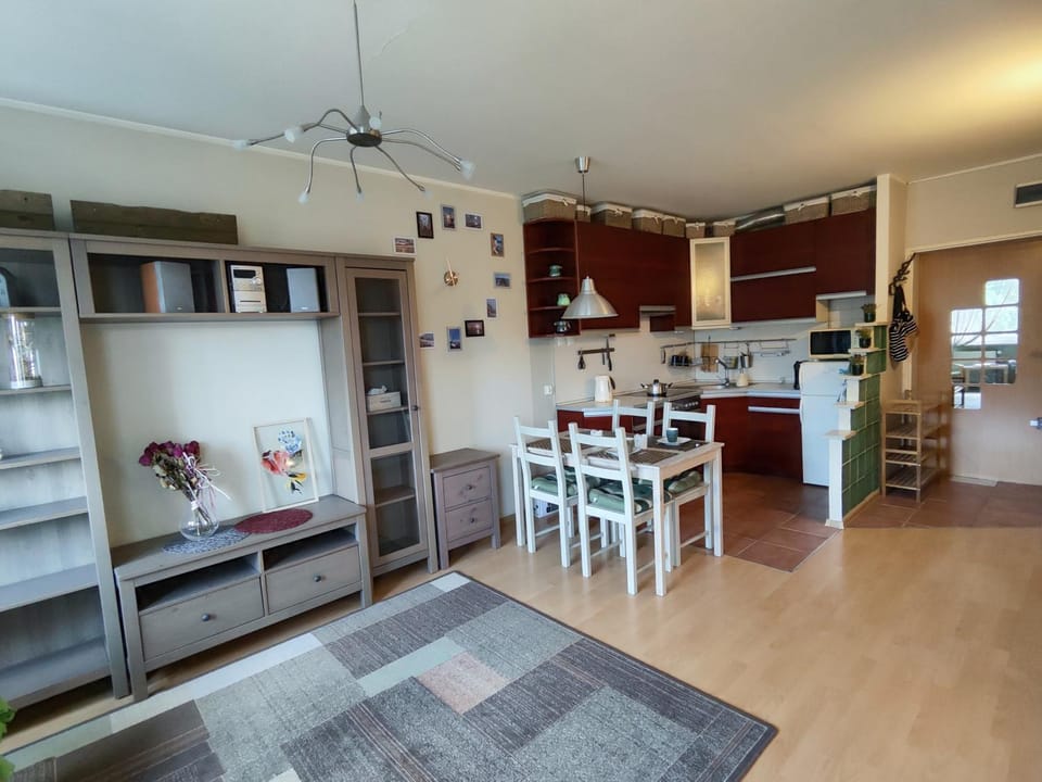 Kitchen or kitchenette, Living room, Dining area, oven, stove