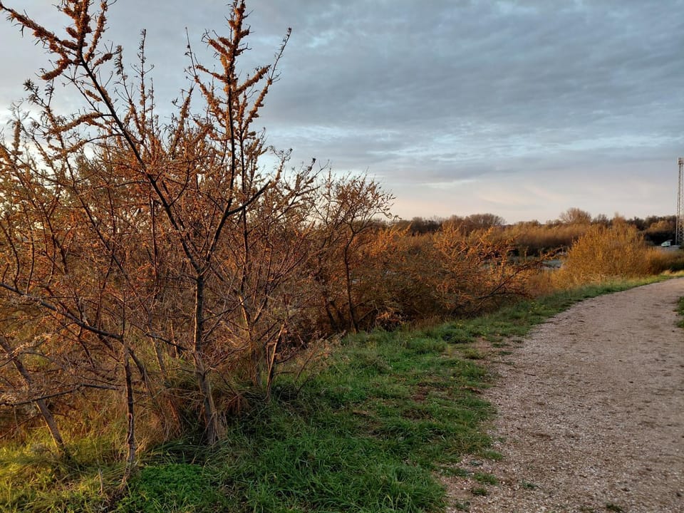 B en B Gewoon Doen Groede Bed and Breakfast in Zeeland, Netherlands