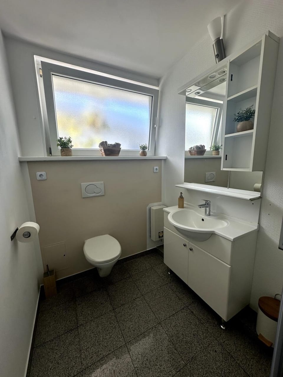 Toilet, Bathroom