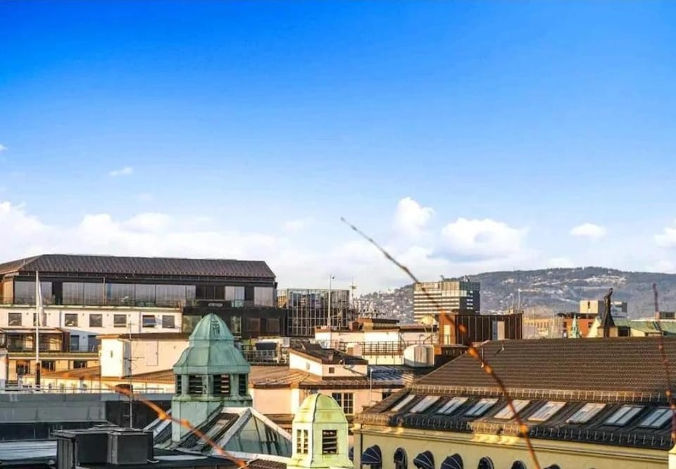 City Center - Large 2 bedroom apartment Apartment in Oslo