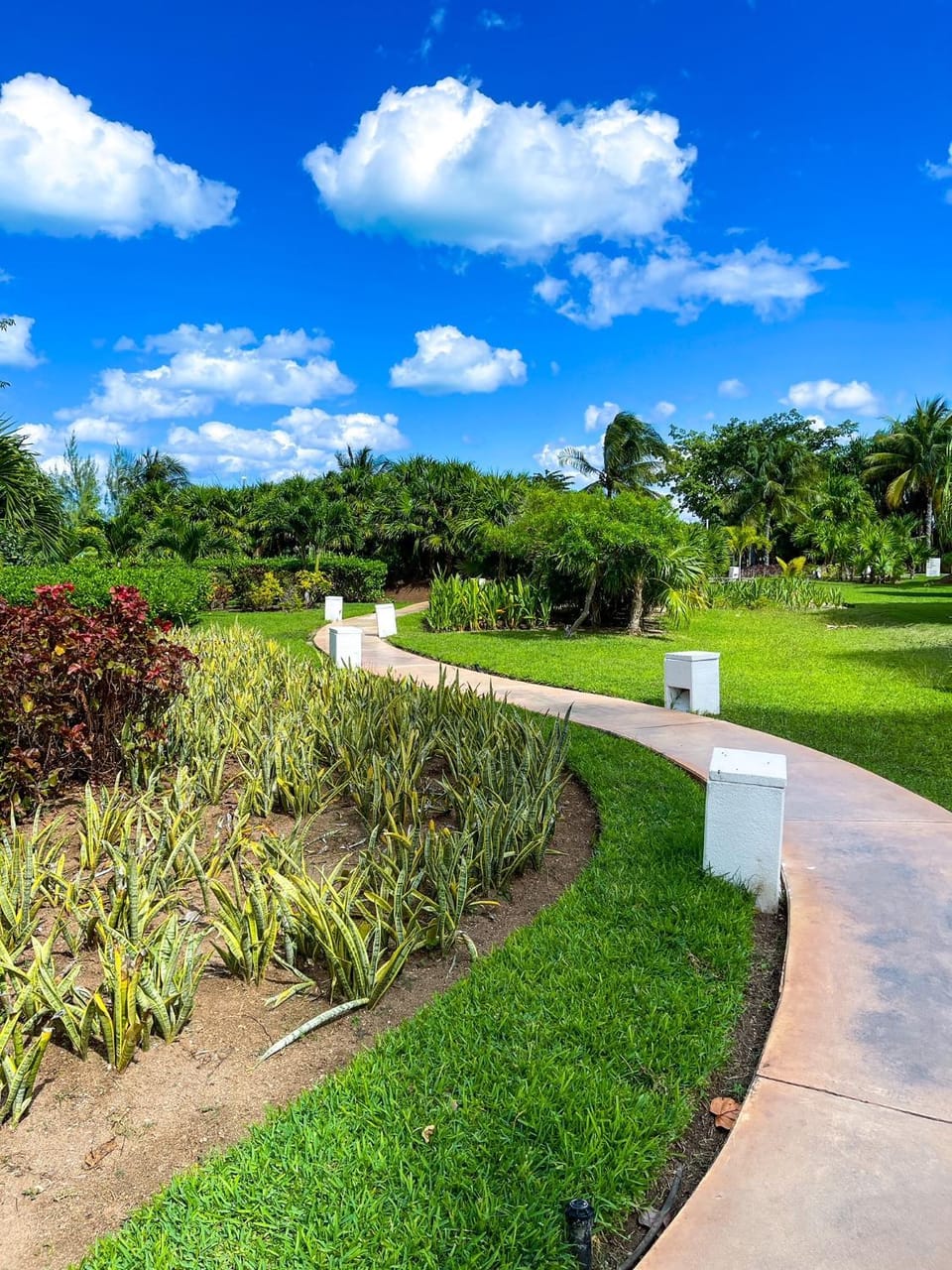 Punta me Luxury Apartment Beach front Apartment in Cancun