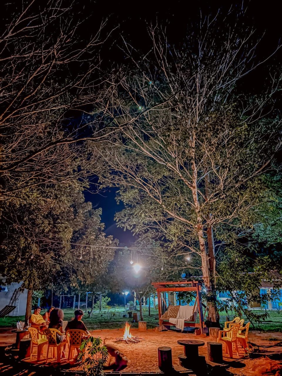 Night, Natural landscape, Garden, Garden view