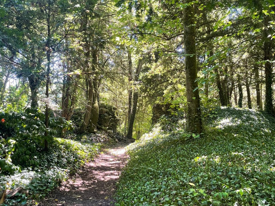 Relais des Hautes Roches Apartment in Saint-Cyr-sur-Loire