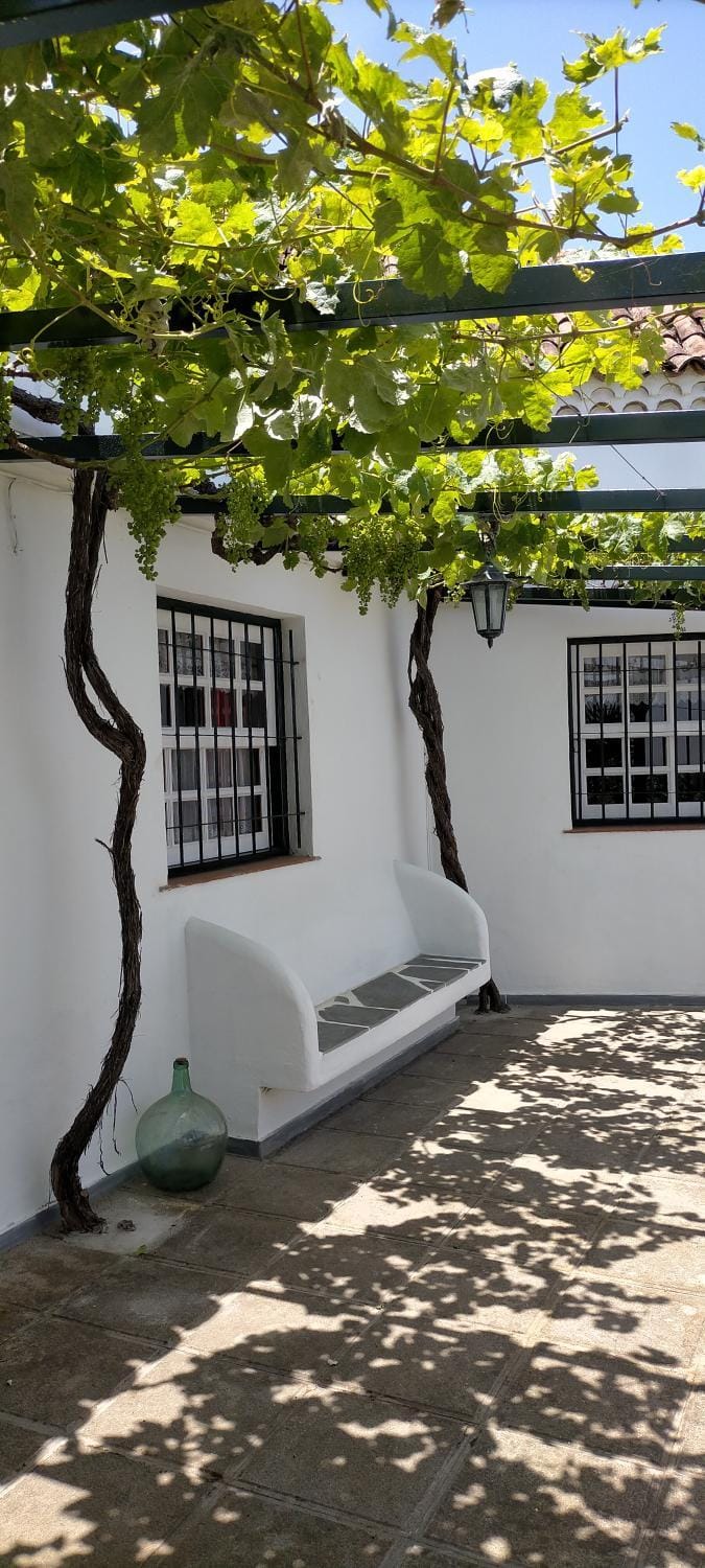 Patio, Garden